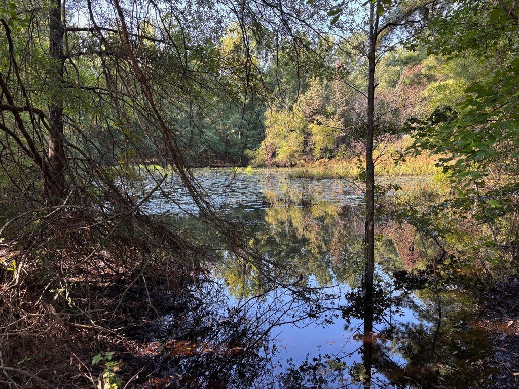 Photo of 1460 Whitetown Road, McCormick, SC 29835 (MLS # 546900)