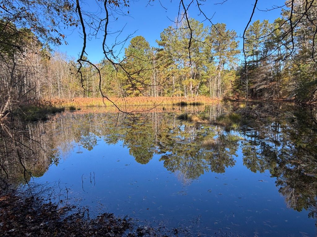 Photo of 1460 Whitetown Road, McCormick, SC 29835 (MLS # 546900)