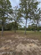 Photo of 8 Windsor Road, Windsor, SC 29856 (MLS # 100610925)