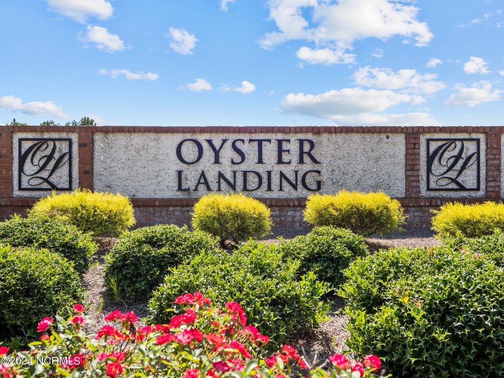 Photo of 423 Blue Pennant Court, Sneads Ferry, NC 28460 (MLS # 100559419)