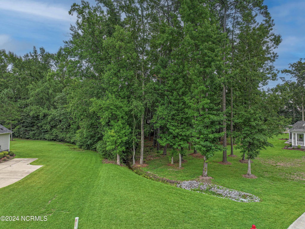 Photo of 1032 Scarlet Oak Drive, Greenville, NC 27858 (MLS # 100582407)