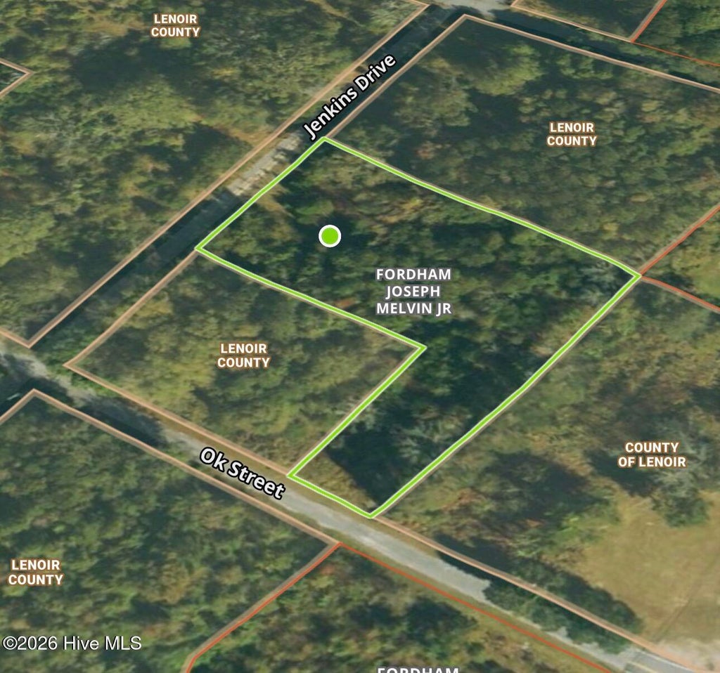 Photo of 50 Ok Street, Kinston, NC 28504 (MLS # 100587424)