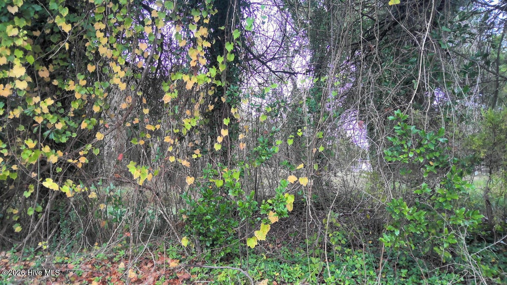 Photo of 50 Ok Street, Kinston, NC 28504 (MLS # 100587424)