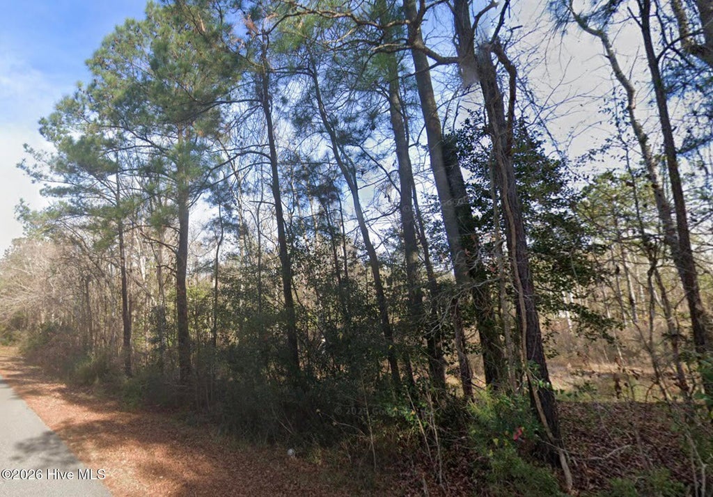 Photo of 143 N Line Drive, Hampstead, NC 28443 (MLS # 100593701)