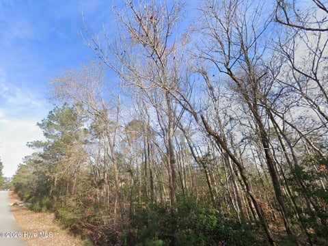Tiny photo for 143 N Line Drive, Hampstead, NC 28443 (MLS # 100593701)