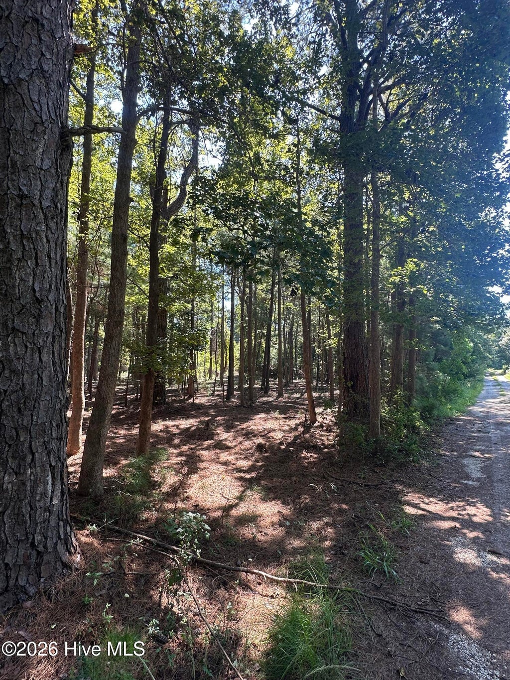 Photo of 1380 Manuel Lane SW, Supply, NC 28462 (MLS # 100604478)