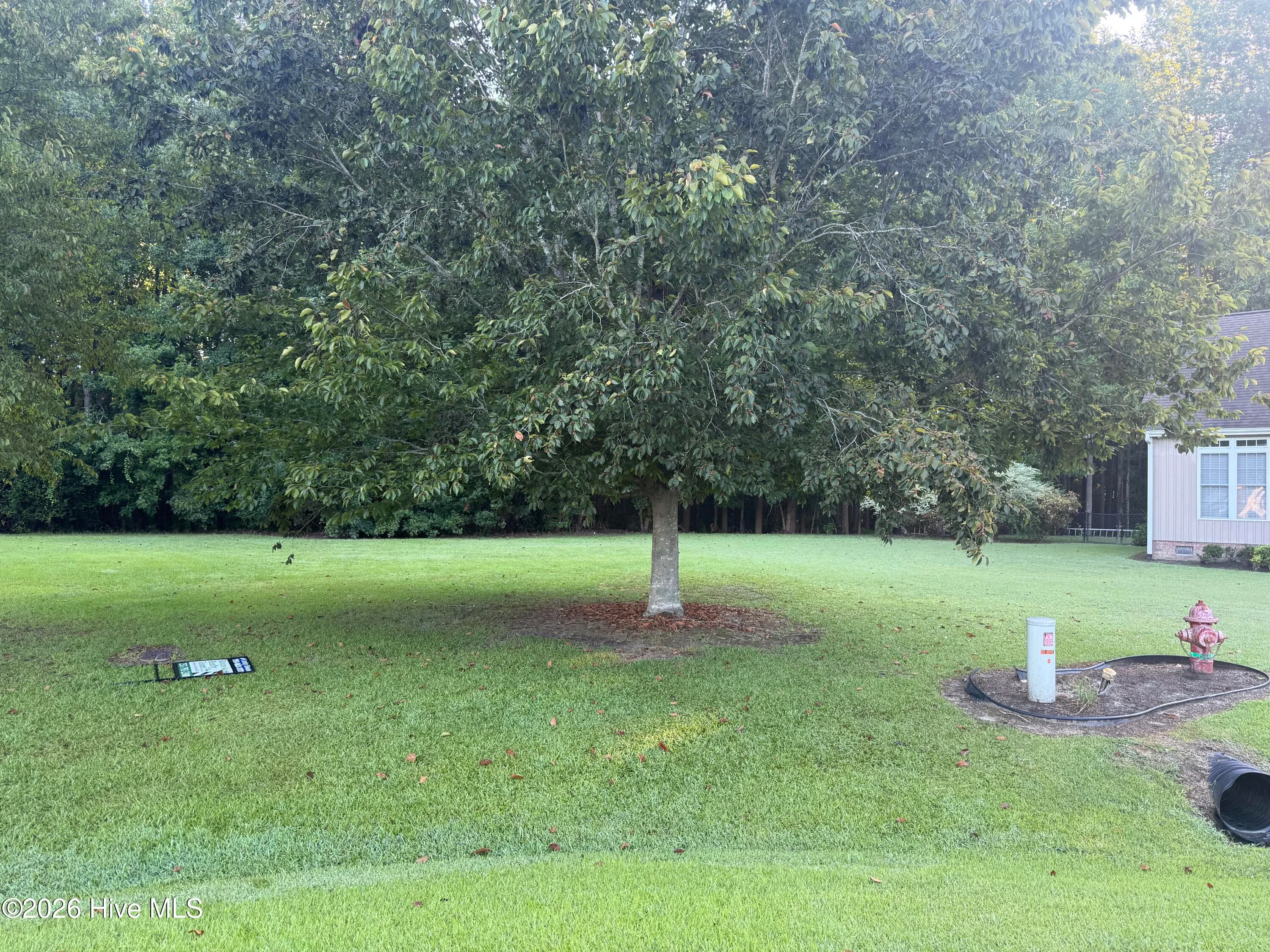 Tbd Gold Rock Drive, Chocowinity, NC, 27817