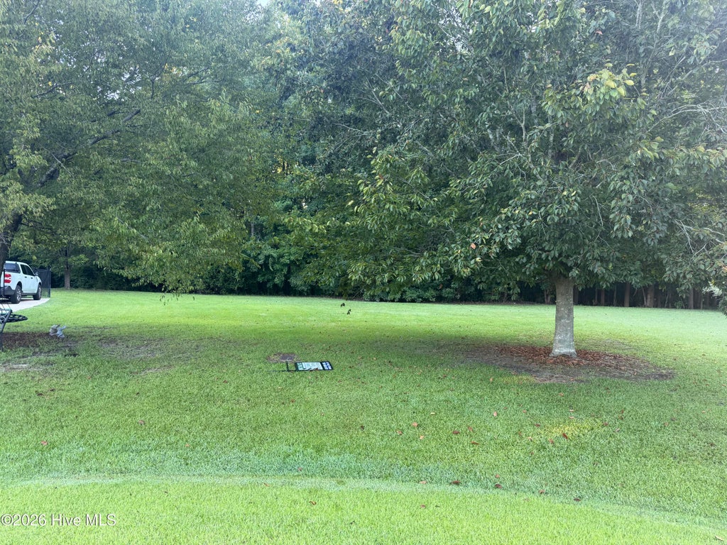 Photo of Tbd Gold Rock Drive, Chocowinity, NC 27817 (MLS # 100601951)