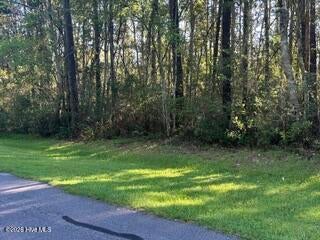 Photo of 902 River Reach Court, New Bern, NC 28560 (MLS # 100609762)