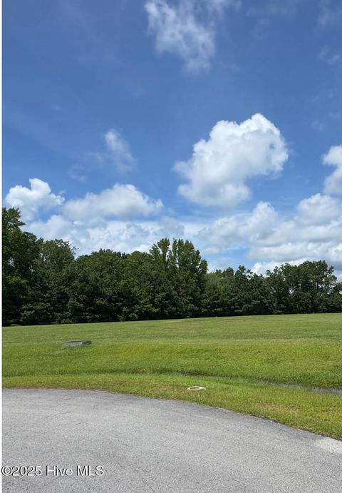 Vacant Land For Sale - LOT 37 Sr 1767 Off State Road<br/> Pinetown, NC 27865