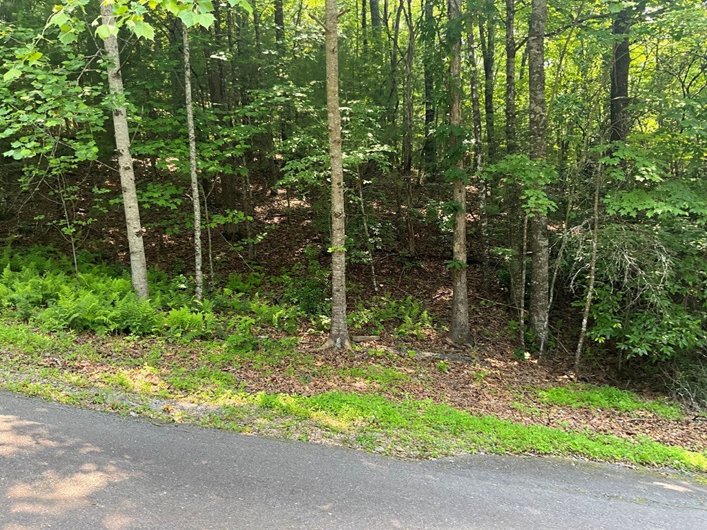 Photo of 5 Birds View Lane, Murphy, NC 28906 (MLS # 98544261)