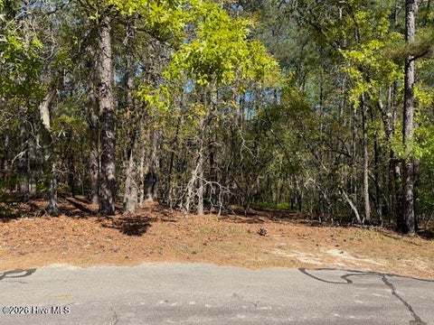 Vacant Land For Sale - 38 Fox Lane<br/> Wagram, NC 28396