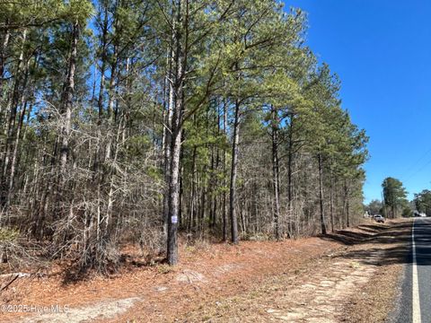 Vacant Land For Sale - TBD John Owen Road<br/> White Oak, NC 28399