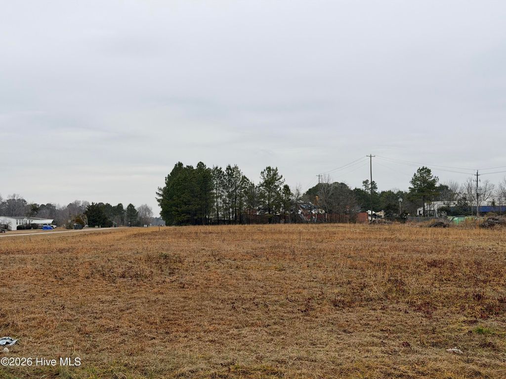 Photo of 157 New Hope Street, Whiteville, NC (MLS # 100573093)