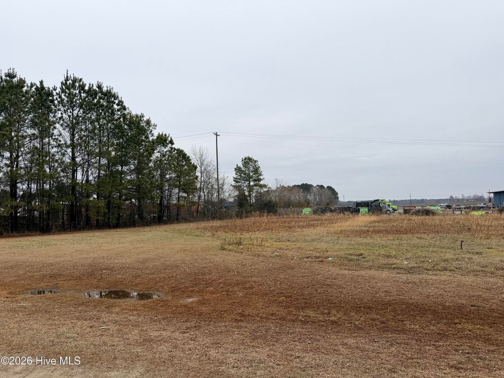 Photo of 157 New Hope Street, Whiteville, NC (MLS # 100573093)