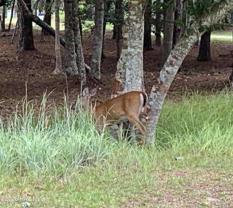 Tiny photo for 1901 Redfish Run SW, Supply, NC 28462 (MLS # 100591907)