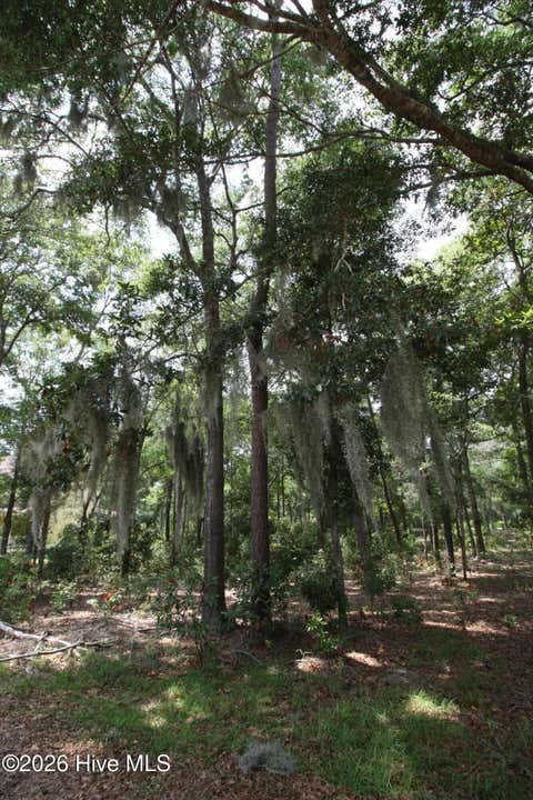 Tiny photo for 1901 Redfish Run SW, Supply, NC 28462 (MLS # 100591907)