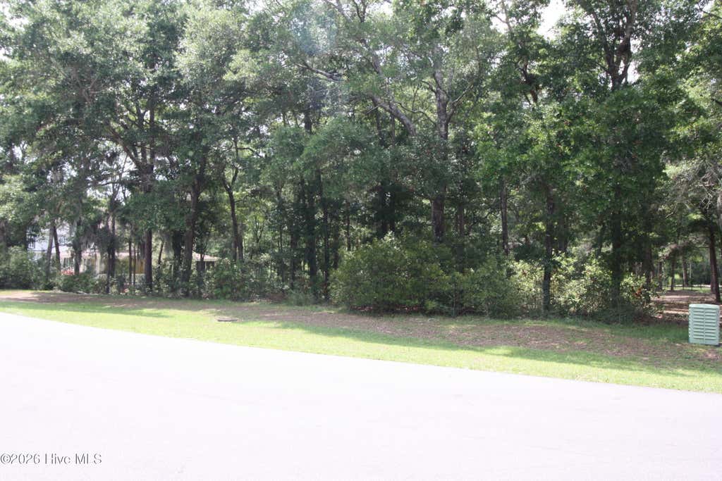 Photo of 1901 Redfish Run SW, Supply, NC 28462 (MLS # 100591907)