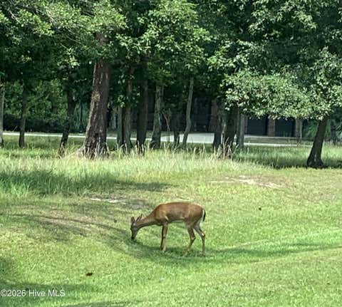 Tiny photo for 1901 Redfish Run SW, Supply, NC 28462 (MLS # 100591907)