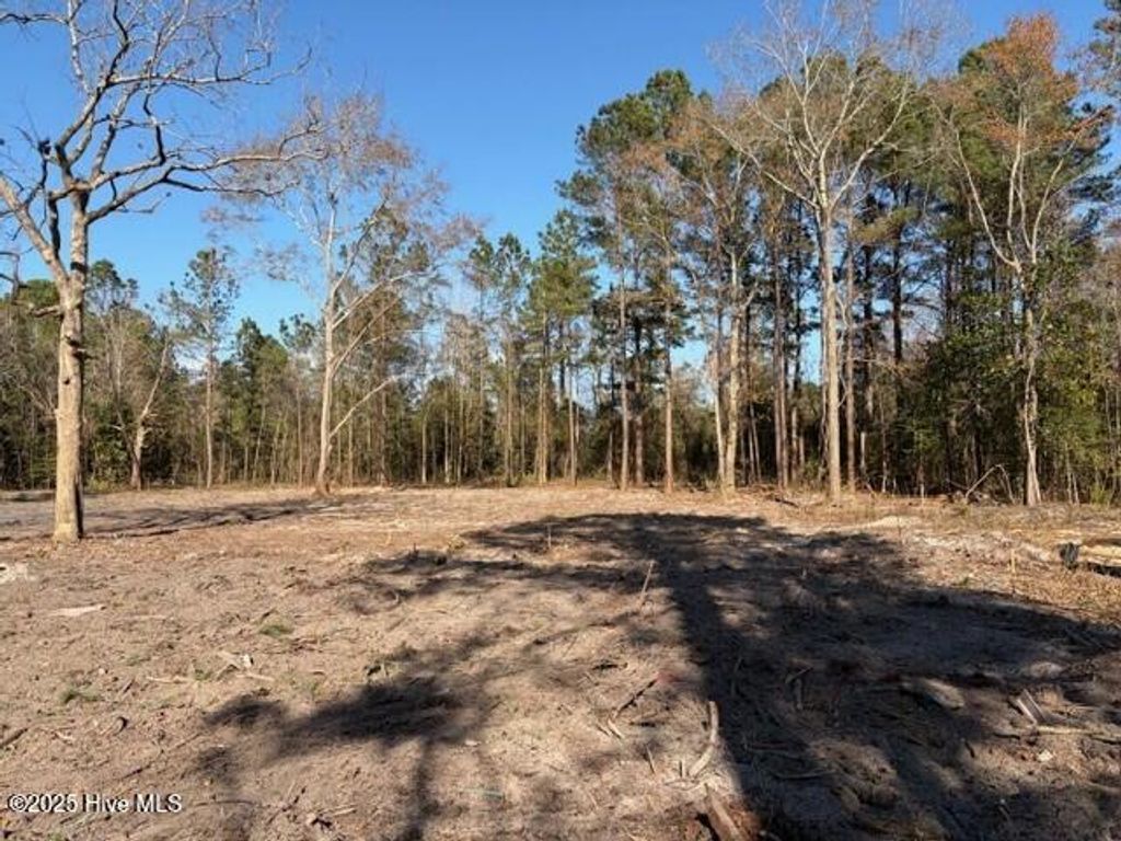 Photo of 4403 Smith Trail NE, Leland, NC 28451 (MLS # 100545591)