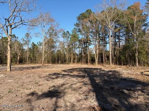 Tiny photo for 4403 Smith Trail NE, Leland, NC 28451 (MLS # 100545591)