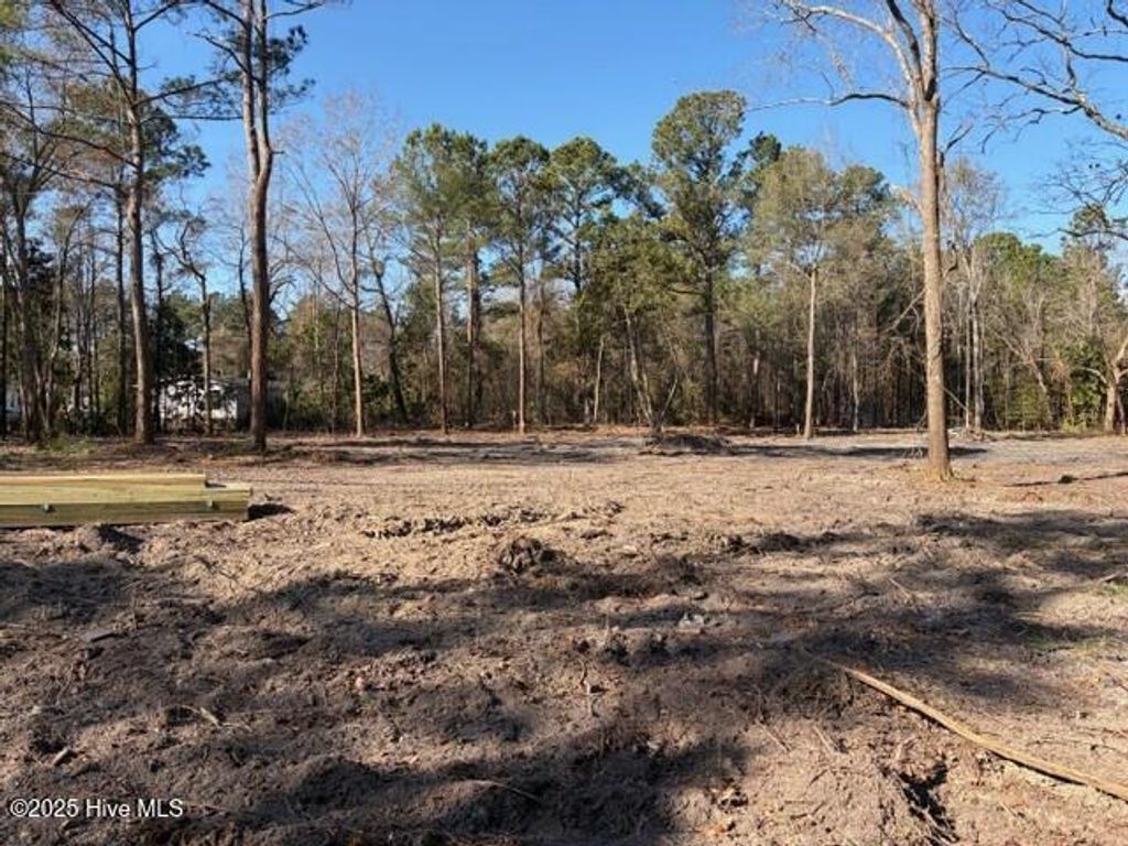 Photo of 4403 Smith Trail NE, Leland, NC 28451 (MLS # 100545591)