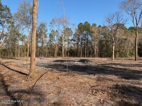 Tiny photo for 4403 Smith Trail NE, Leland, NC 28451 (MLS # 100545591)