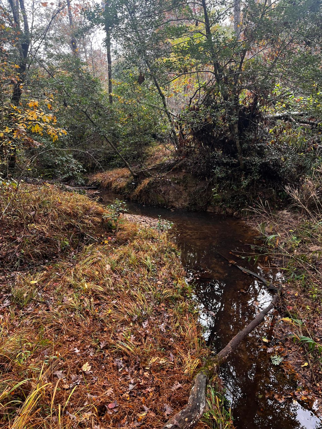 Photo of 1 Pate Mill Road, Warrenton, GA 30828 (MLS # 551426)