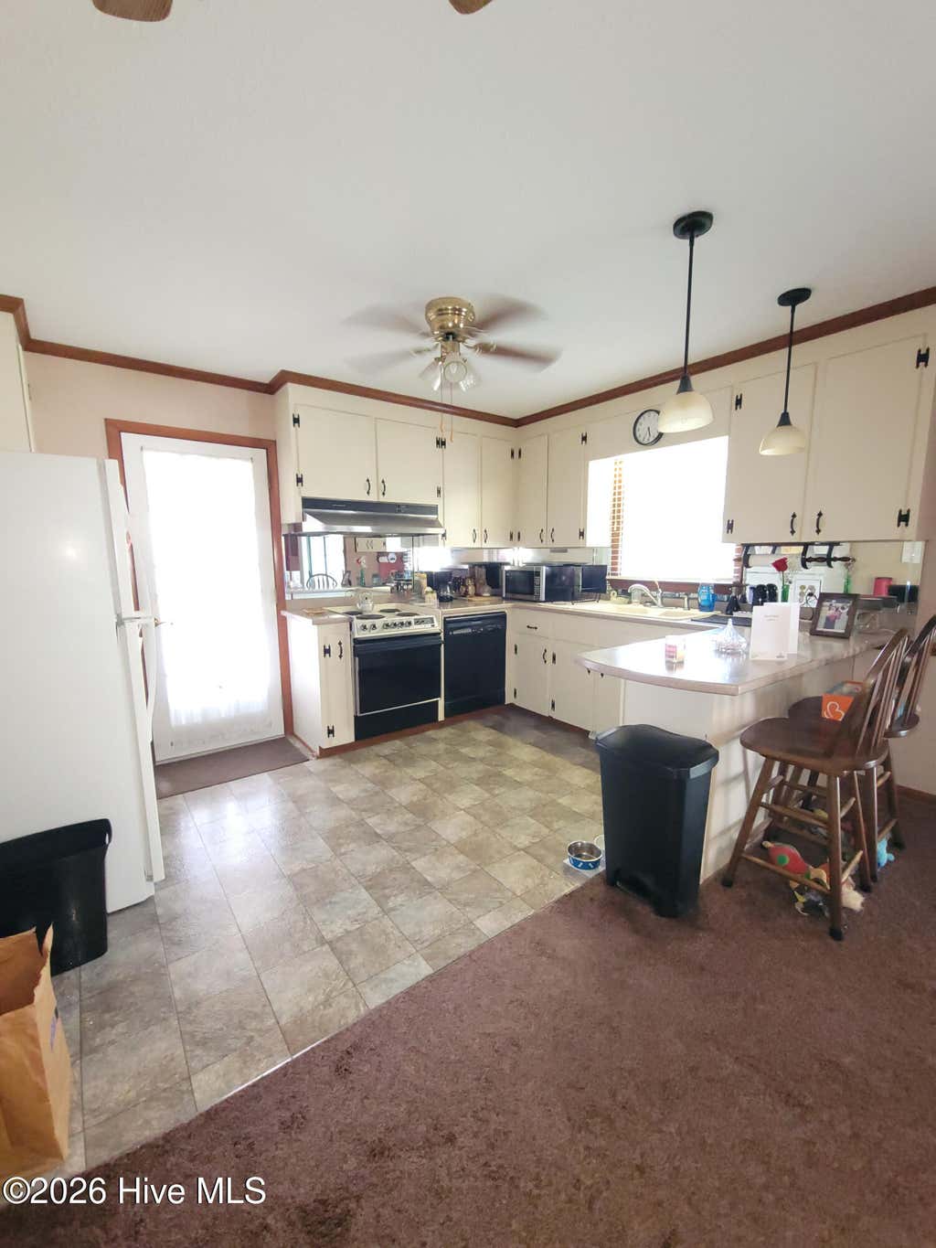 Photo of 212 Westwood Drive, Goldsboro, NC 27530 (MLS # 100598034)