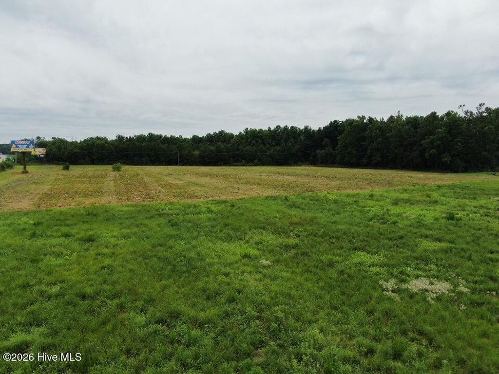 Photo of 22 Nc 87 Bypass Highway W, Elizabethtown, NC 28337 (MLS # 100553182)