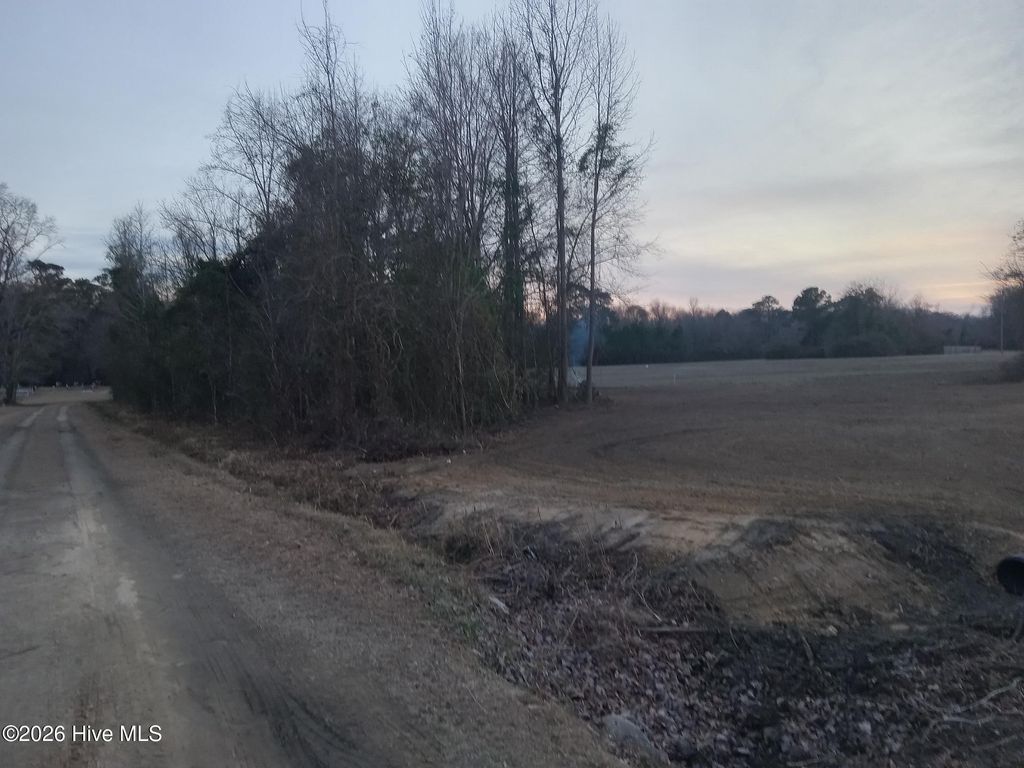 Photo of 7520 Sam Potts Highway, Whiteville, NC 28472 (MLS # 100552338)