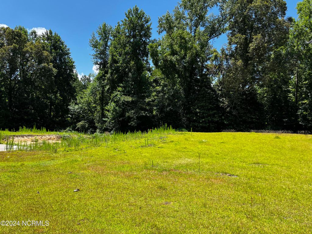Photo of 6323 Brassie Drive, Grifton, NC 28530 (MLS # 100431969)