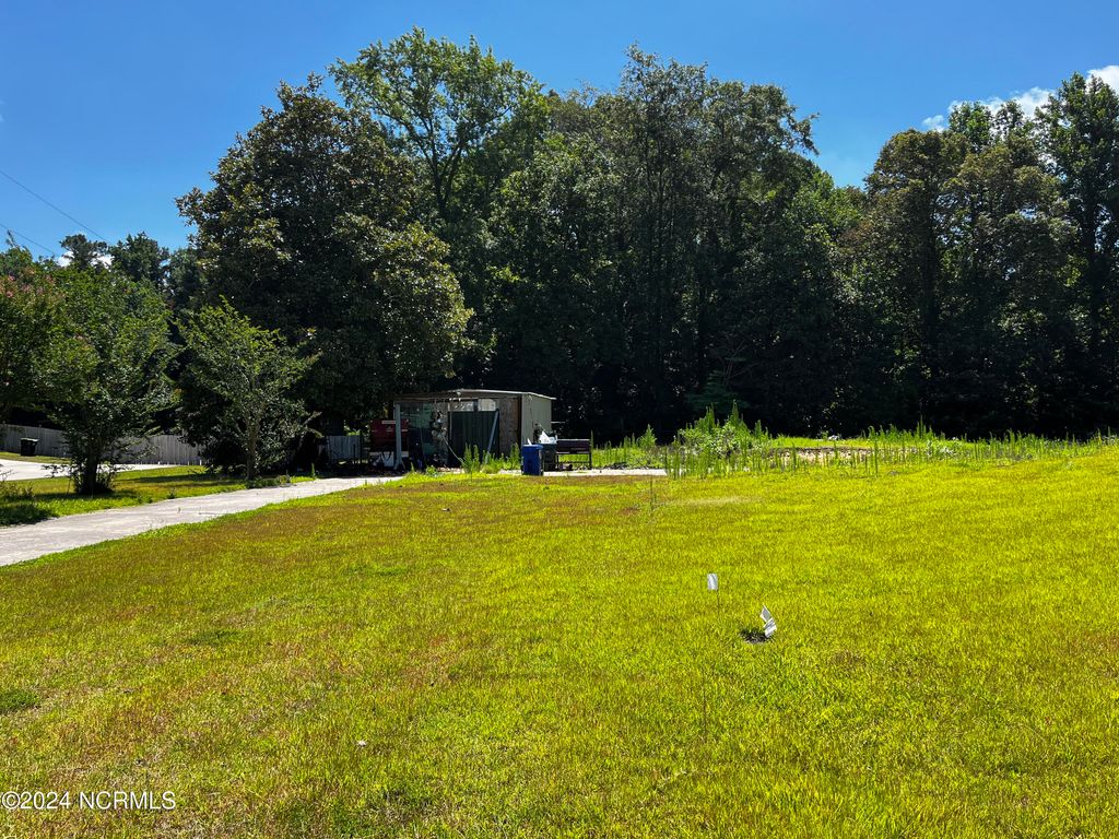 Photo of 6323 Brassie Drive, Grifton, NC 28530 (MLS # 100431969)