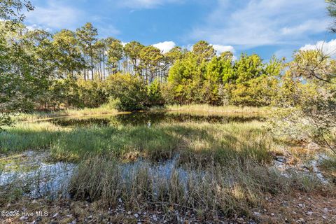 Tiny photo for 202 Frederica Court, Wilmington, NC 28412 (MLS # 100545533)