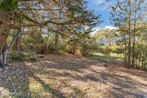 Tiny photo for 202 Frederica Court, Wilmington, NC 28412 (MLS # 100545533)