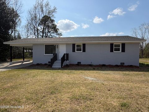 Homes For Sale - 1395 Capps Bridge Road<br/> Pikeville, NC 27863