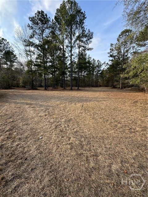 Vacant Land For Sale - 653 Palmer Row<br/> Jenkins County, Millen, GA 30442