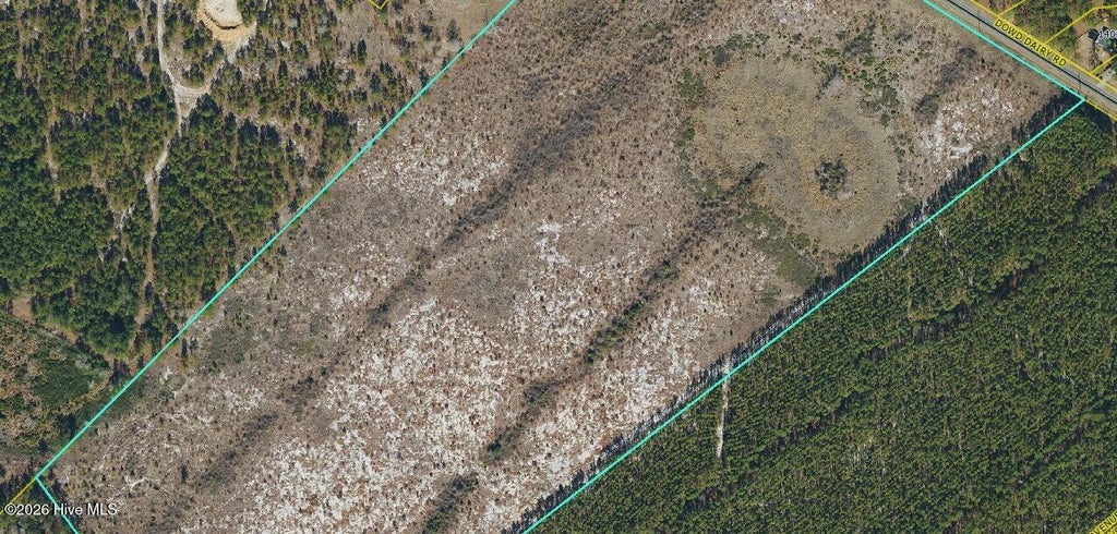 Photo of 0 Dowd Dairy Road, White Oak, NC 28399 (MLS # 100610500)