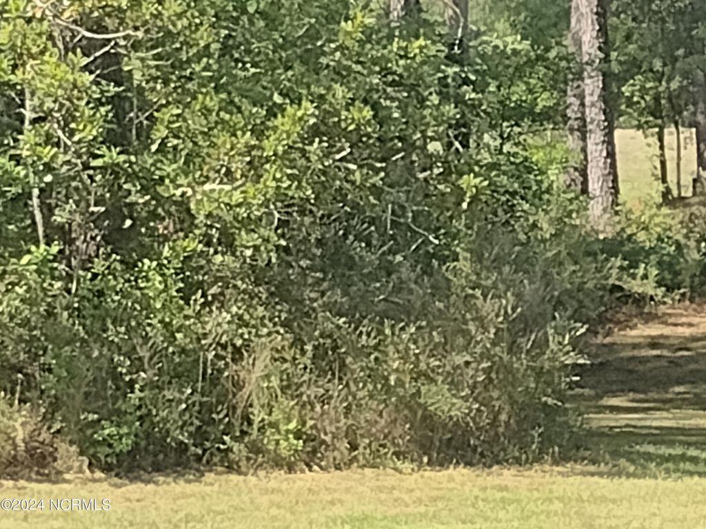 Photo of 1731 Caracara Drive, New Bern, NC 28560 (MLS # 100564516)