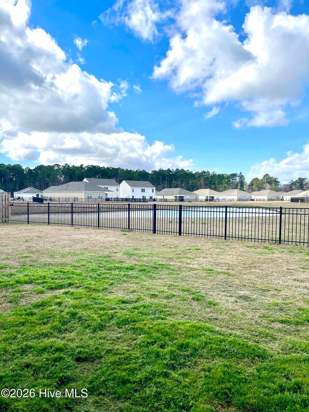 Photo of 6201 Centipede Place #Lot 163, Castle Hayne, NC 28429 (MLS # 100558236)