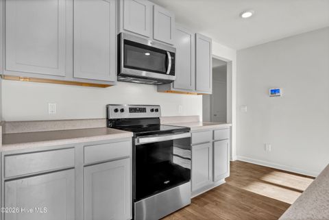 Tiny photo for 6201 Centipede Place #Lot 163, Castle Hayne, NC 28429 (MLS # 100558236)