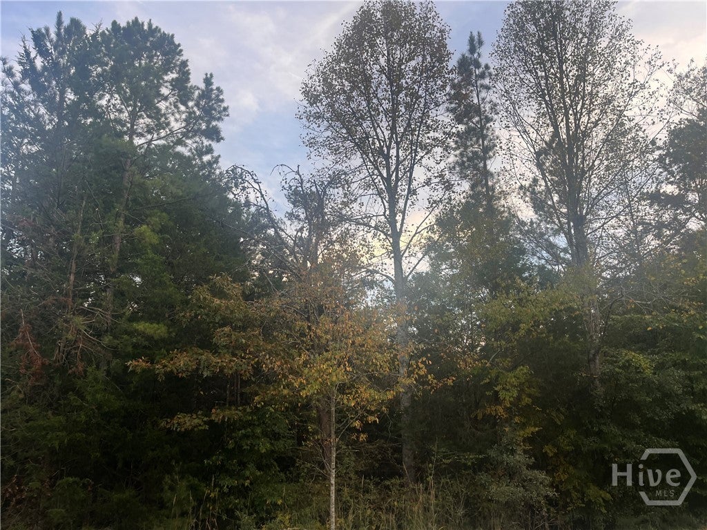 Photo of 0 Andrewâ€™s Subdivision, Lavonia, GA 30553 (MLS # CL367167)