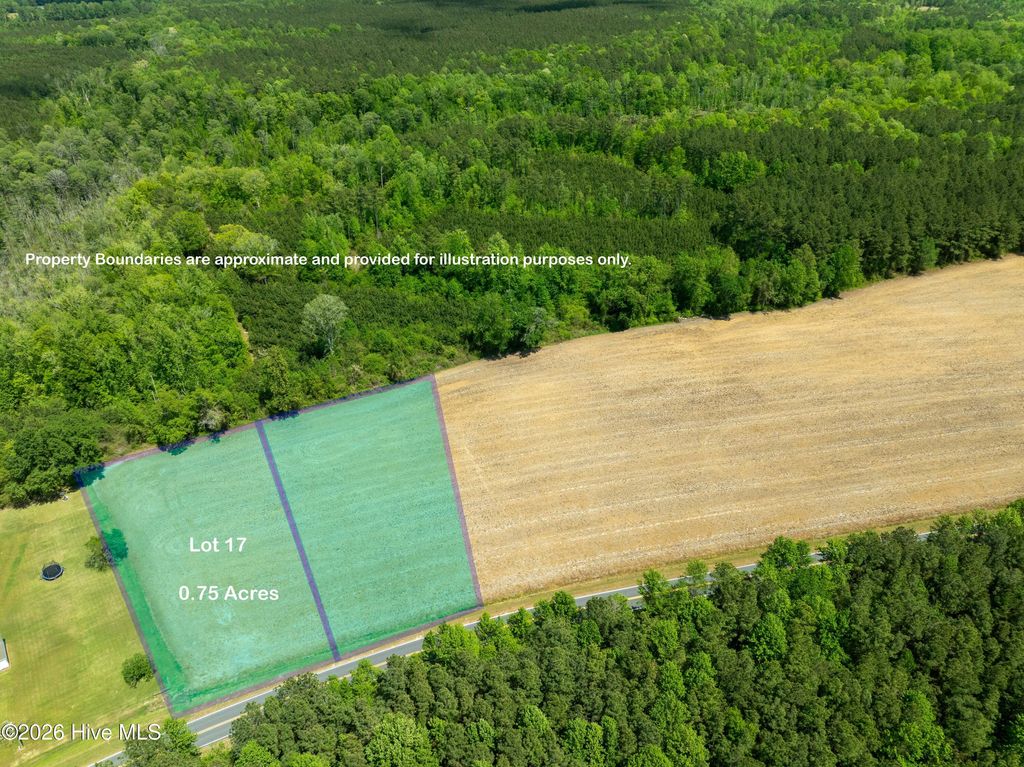 Photo of 0 Sr 1110, Blounts Creek, NC 27814 (MLS # 100569031)