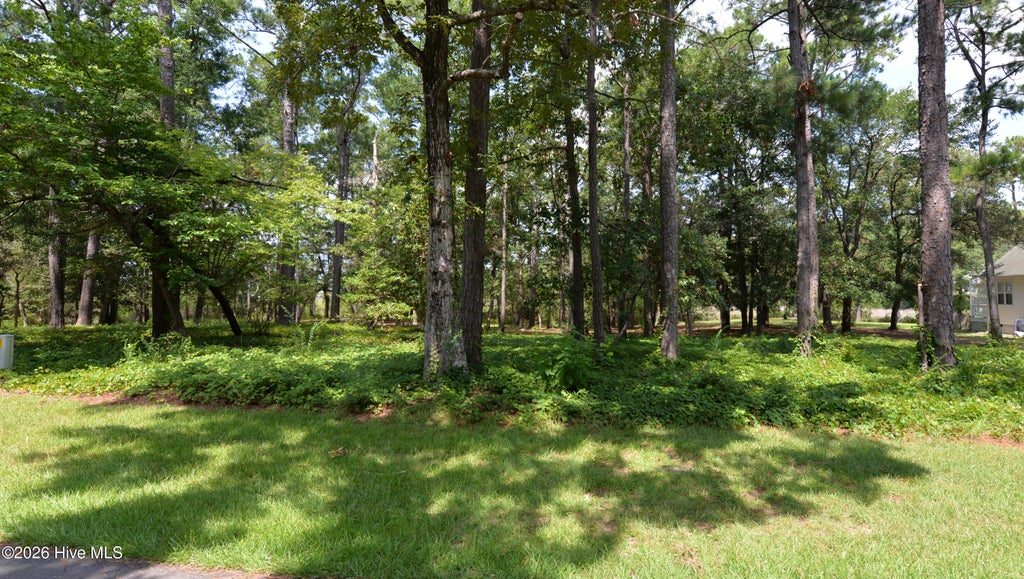 Photo of 3157 Channel Drive SE, Bolivia, NC 28422 (MLS # 100613409)
