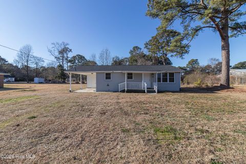 Photo of 101 W Pine Forest Road, Mount Olive, NC 28365 (MLS # 100549648)
