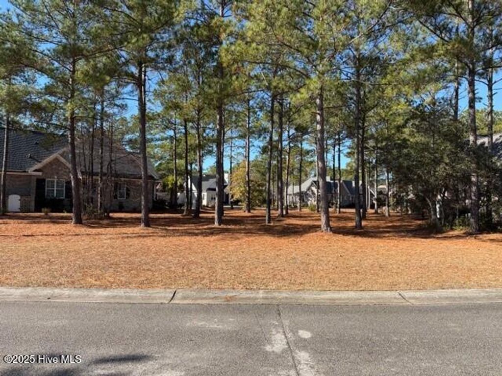 Photo of 705 Creighton Circle SW, Ocean Isle Beach, NC 28469 (MLS # 100546215)