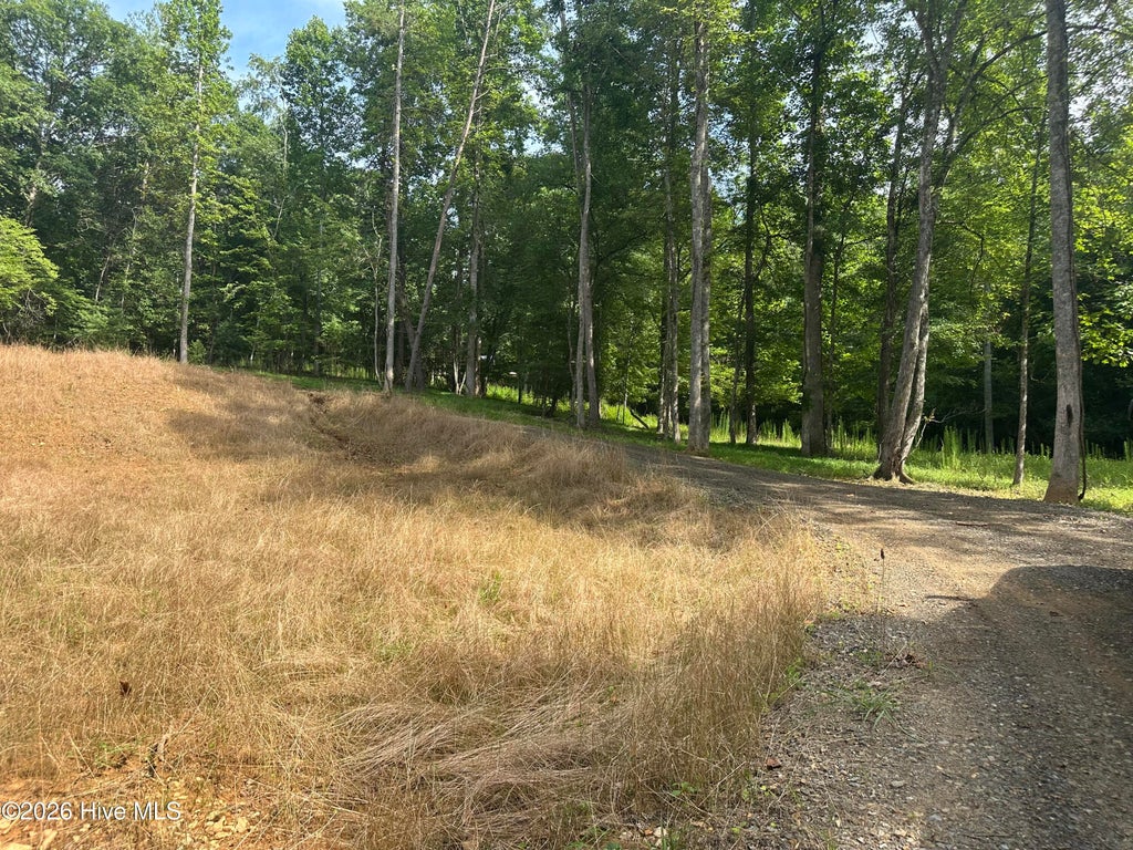 Photo of 00 Johnsonville Road, Murphy, NC 28906 (MLS # 100588099)