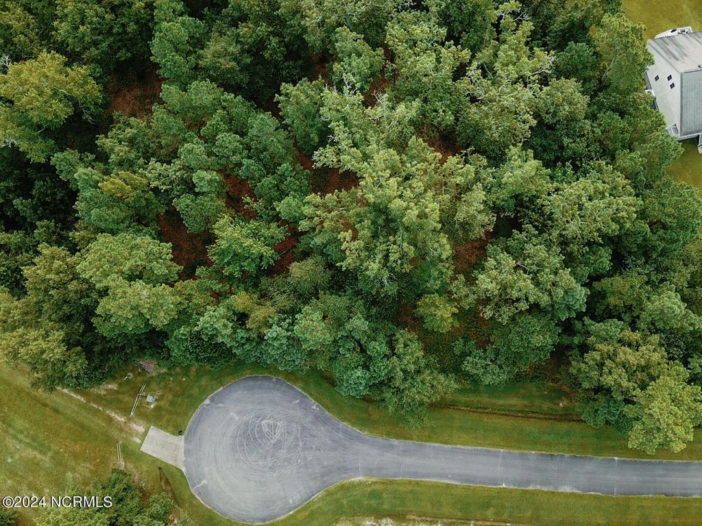 Photo of 3 Alexander Drive, Belhaven, NC 27810 (MLS # 100463139)