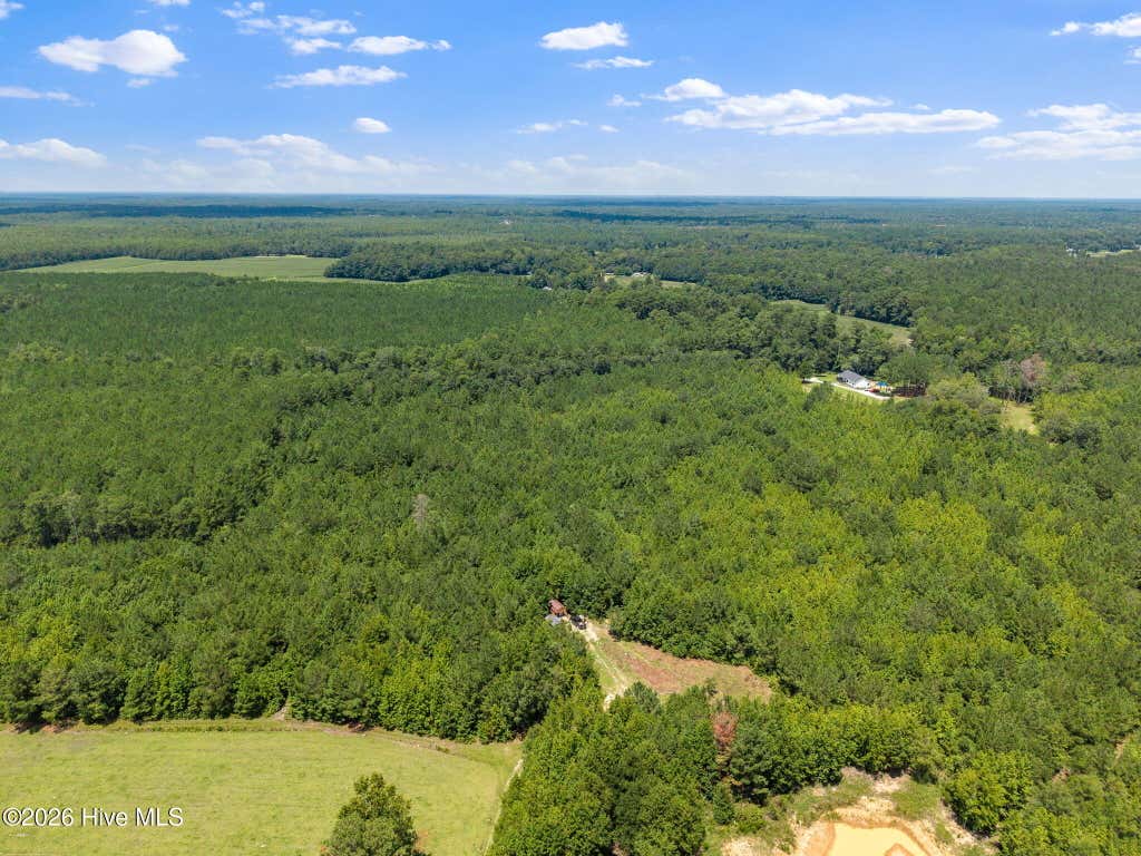 Photo of 5690 Caroline Jones Road NE, Winnabow, NC 28479 (MLS # 100596399)