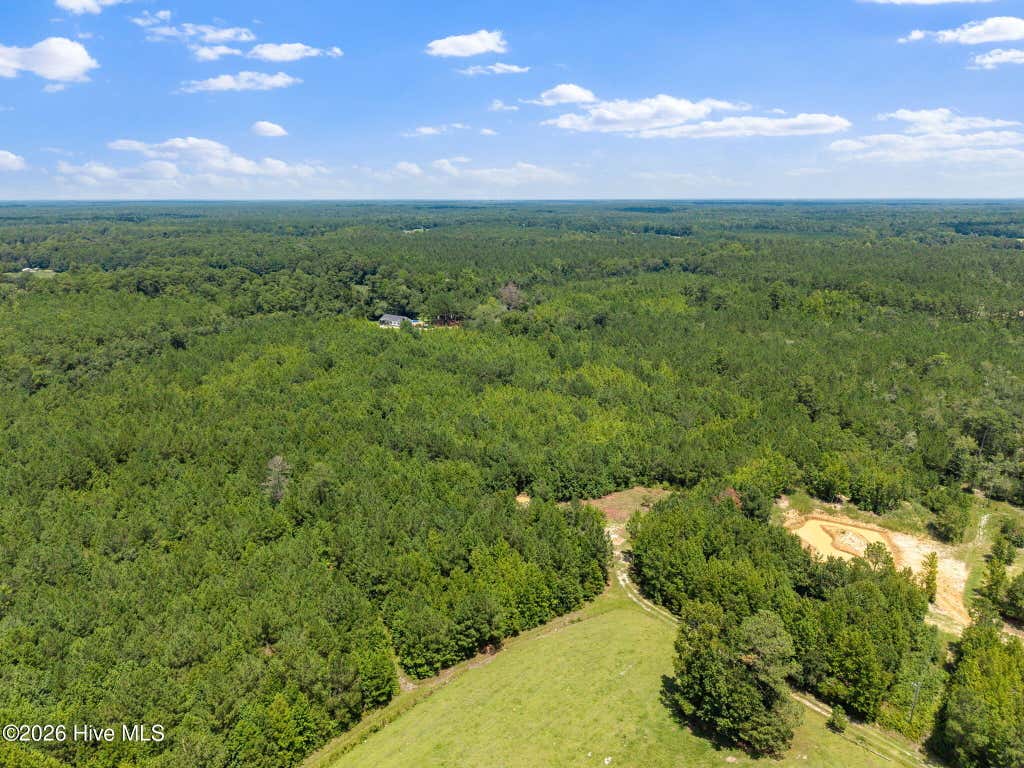 Photo of 5690 Caroline Jones Road NE, Winnabow, NC 28479 (MLS # 100596399)